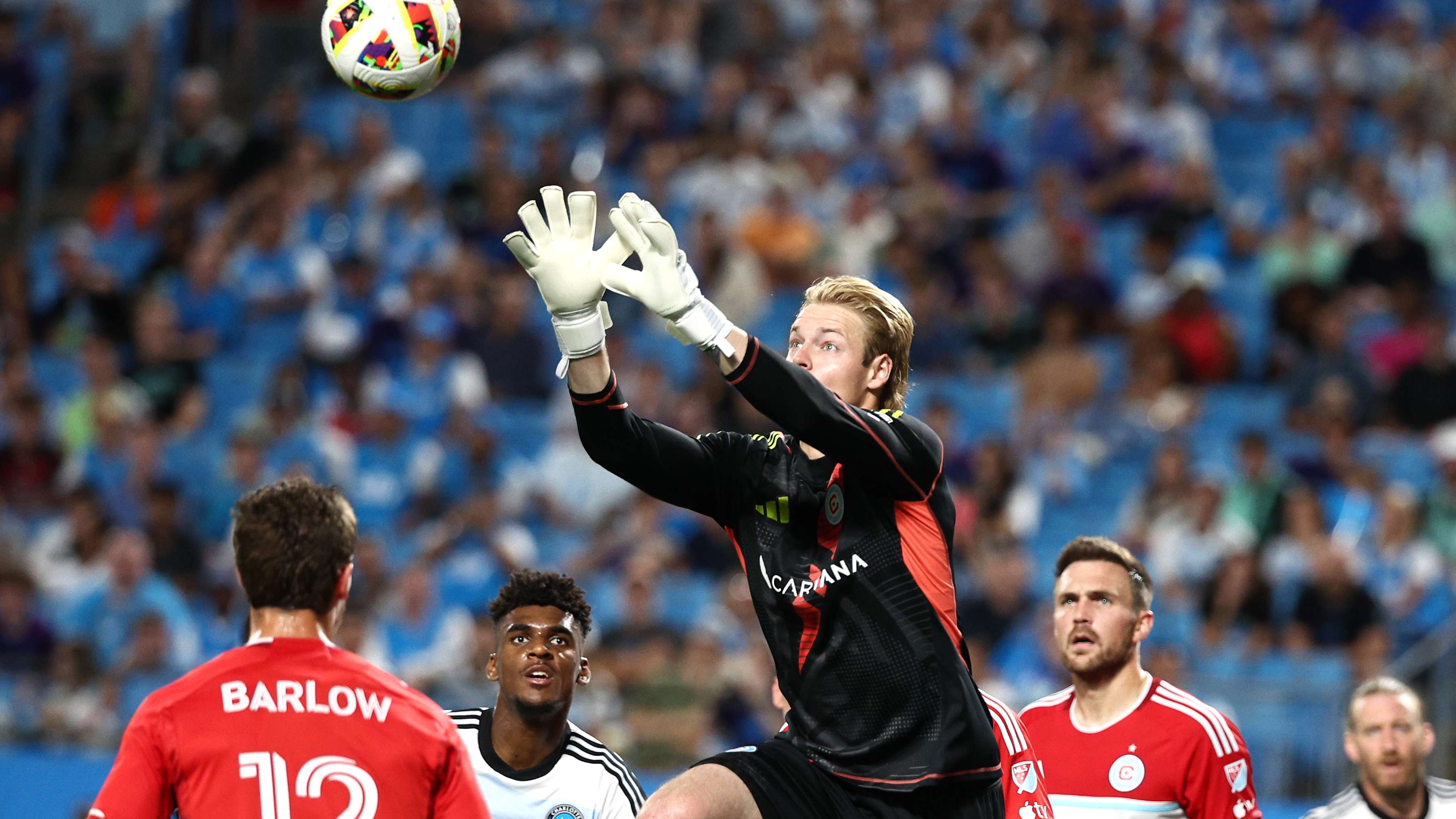 许将成为他 许将成为他