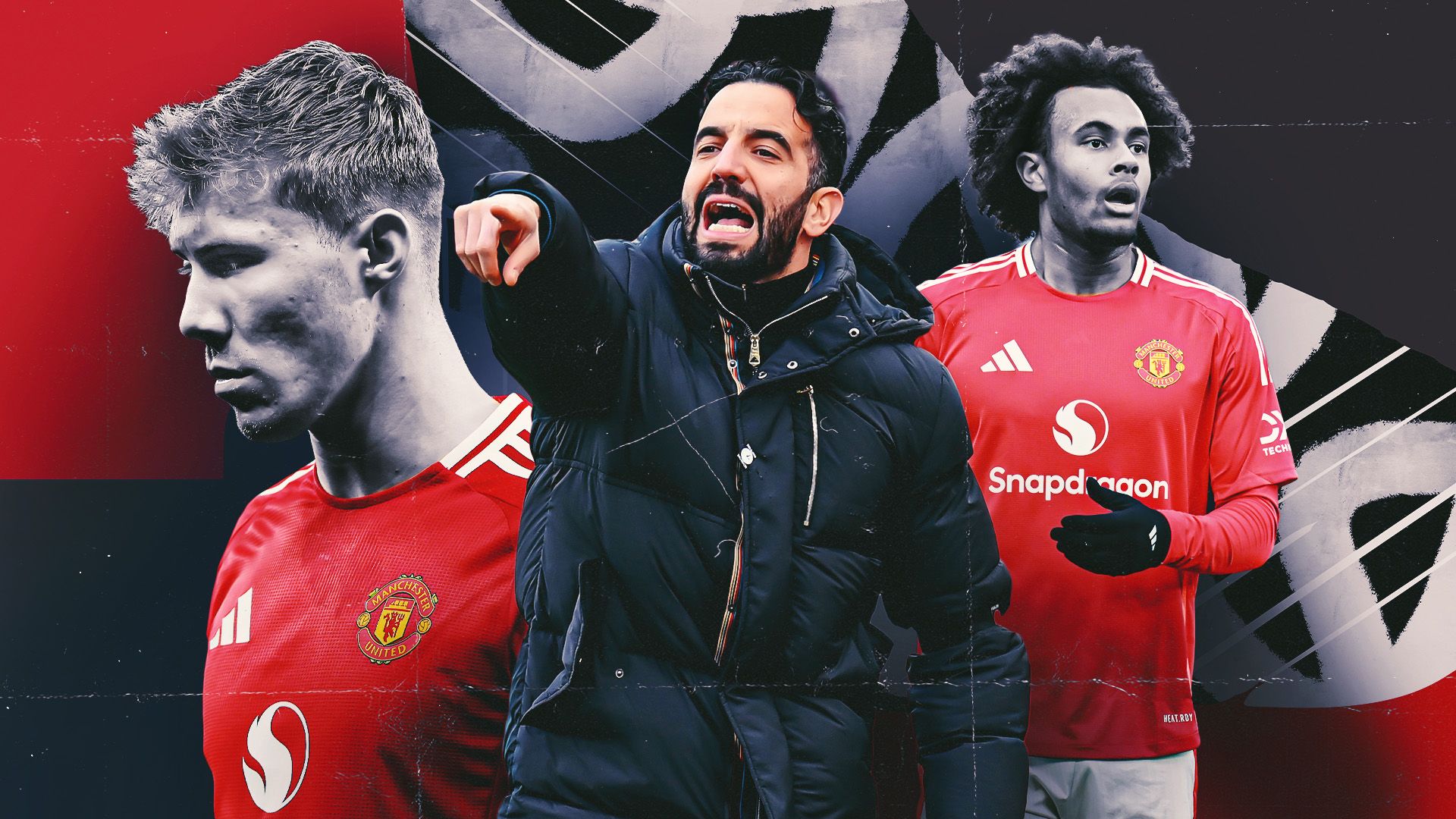 板球的保护 板球的保护